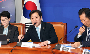 與 “통합 단체명은 충남·대전통합특별시, 약칭은 대전특별시”