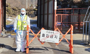 전북 고창서 아프리카돼지열병 발생…긴급방역 착수