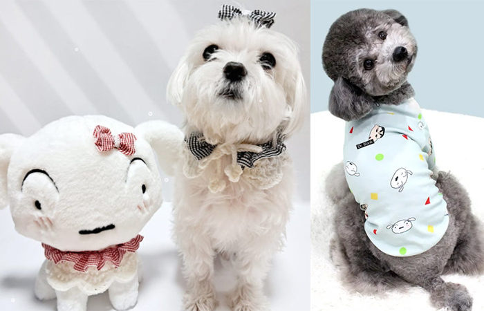 MZ세대 견주들 사이에서 흰둥이 관련 아이템이 필수템으로 등극하며 펫코노미 시장의 핵심 동력이 되고 있다. 뜰래방, 더맵시 제공