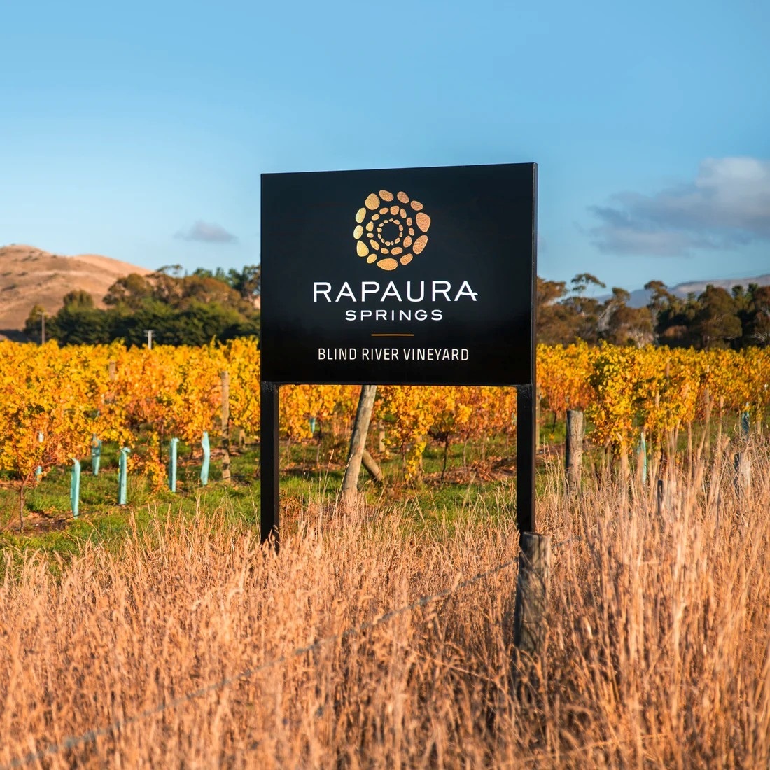 블라인드 리버 빈야드. 홈페이지