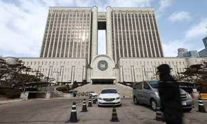 옷 대신 박스 걸친 '압구정 박스녀' 마약으로 징역형 집행유예