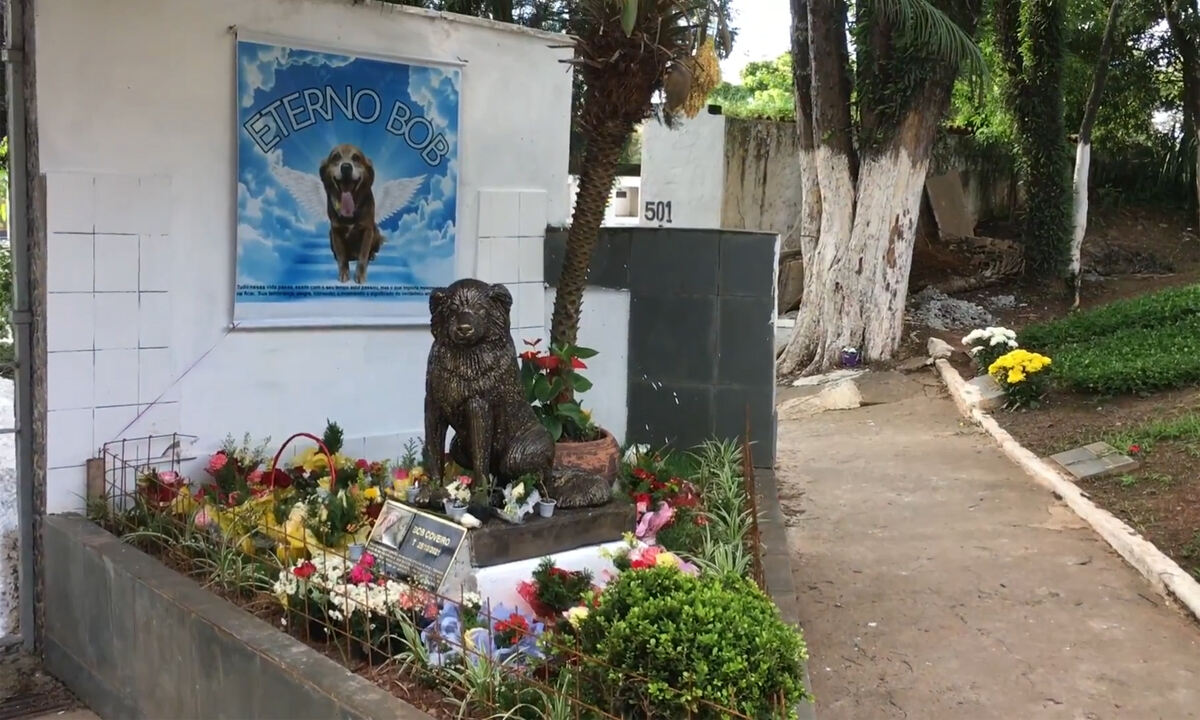 브라질 상파울루주 타보앙 다 세라 묘지에 있는 밥 코베이루 동상. 최근 상파울루주는 주인과 반려동물의 동반 장묘를 허용했다. 유튜브 캡처