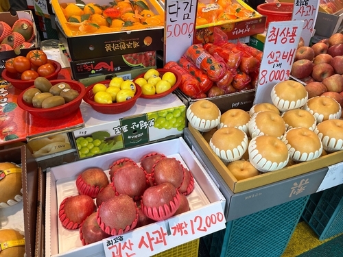 시장 과일 과게에 진열된 과일들