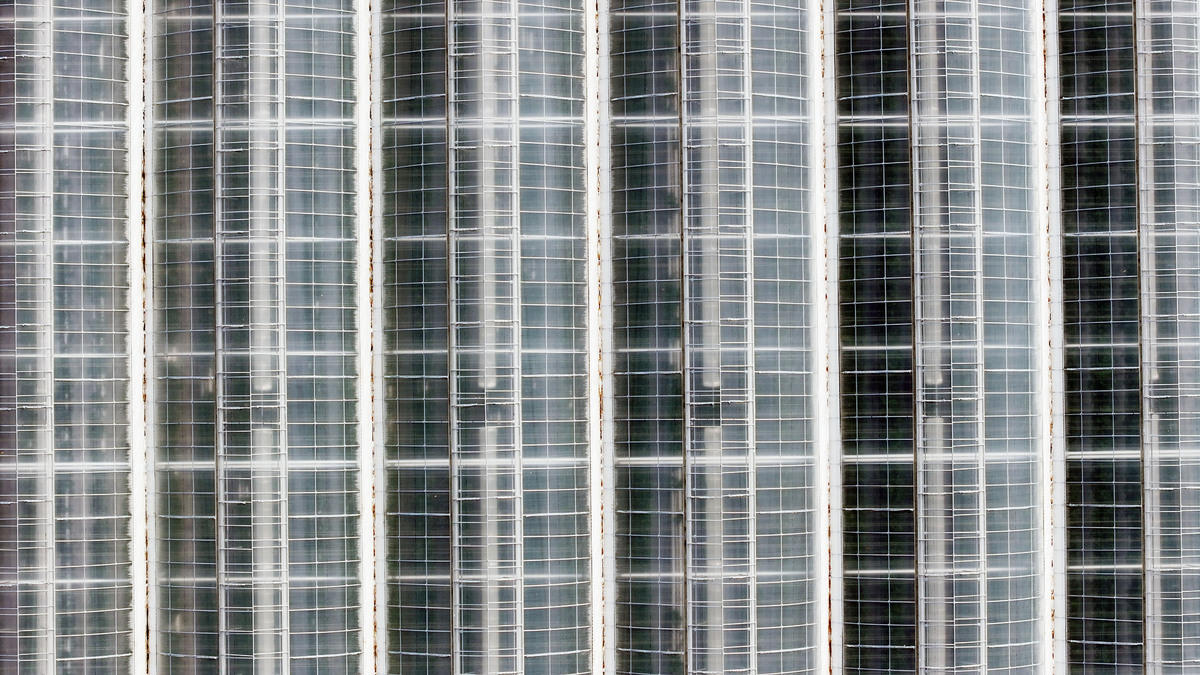 에스피아그리가 충남 서산에 4,700평 규모의 대형 비닐하우스형 스마트팜을 운영하고 있다.