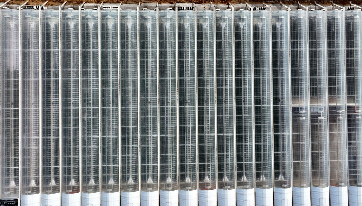 에스피아그리가 충남 서산에 4,700평 규모의 대형 비닐하우스형 스마트팜을 운영하고 있다.