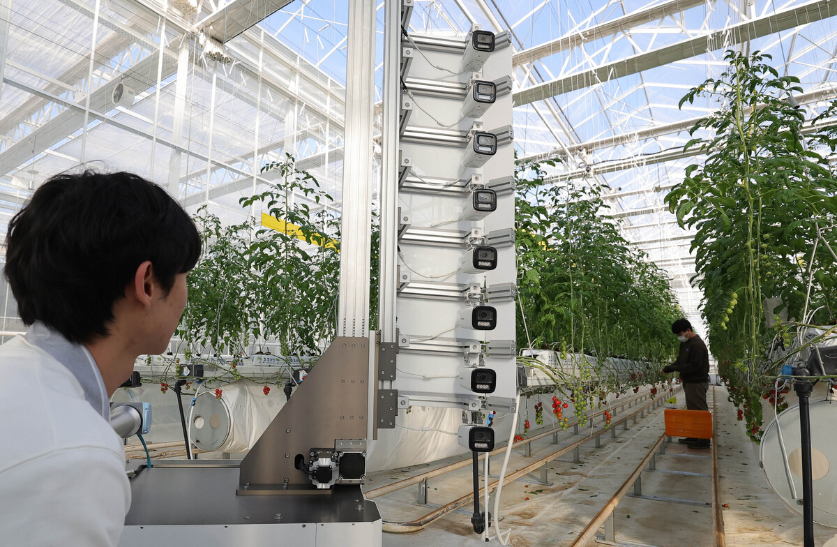 전북 김제 스마트팜 혁신밸리에서 한 직원이 영상 기반 생육 분석 로봇을 운영하고 있다.