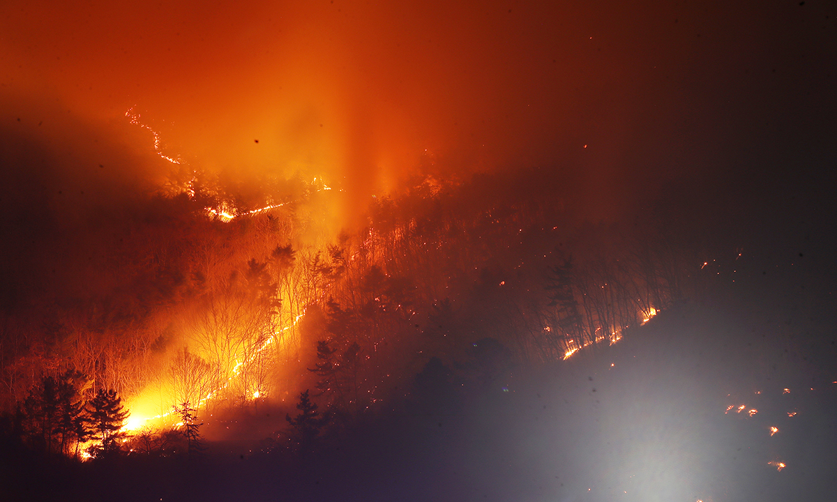 23일 경남 밀양 삼랑진읍 검세리 한 야산에서 발생한 산불이 강풍에 확산되고 있다. 뉴스1