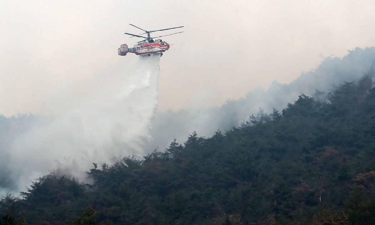 경남 밀양 산불 이틀째인 24일 오전 삼랑진읍 검세리 산불 현장에서 산불진화 헬기가 진화 작업을 벌이고 있다. 뉴스1