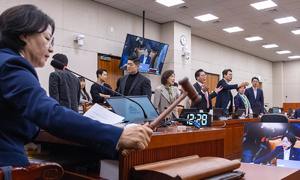 법사위, 전남광주 통합법 與주도 통과