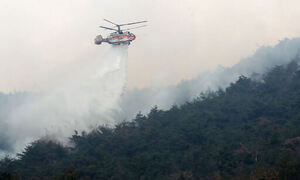 축구장 200개 규모 태운 밀양 산불…20시간 만에 주불 잡혀