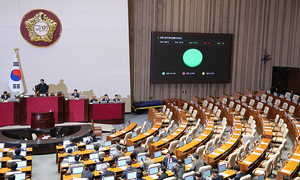 지배구조 투명성·주주 가치 제고 기대감