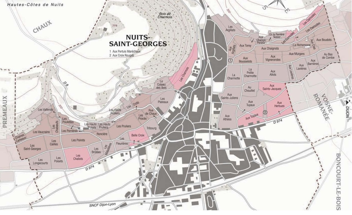 도멘 레셔노 뉘 생 조르주 포도밭(핑크색). 홈페이지