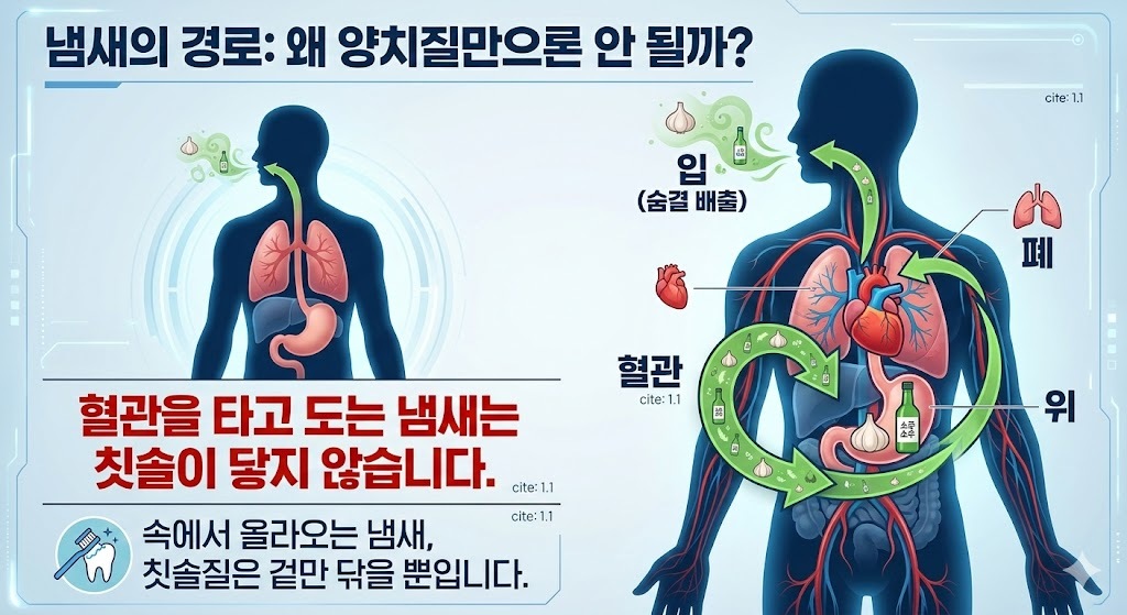 냄새의 경로: 왜 양치질만으론 안 될까? 제미나이 생성 그래픽