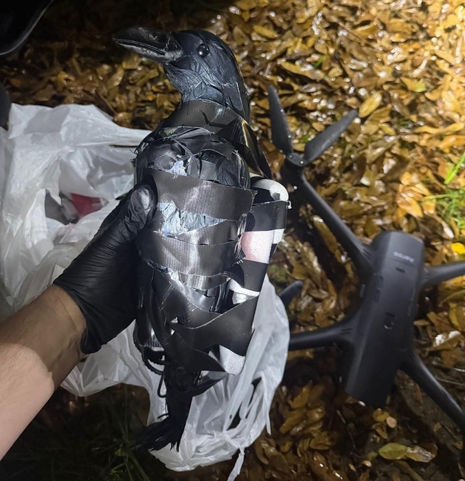 교도소 내 금지 물품 밀반입에 사용된 까마귀 모형. 그랜트 파리쉬 보안관 사무소 사회관계망서비스(SNS) 캡처