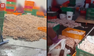 식용 닭발 ‘과산화수소’로 표백…中 유명 식품공장 적발