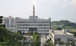 공범 조카를 딸로 속여 입학…6년전 세살 딸 학대치사 친모 체포