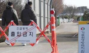 김제 산란계 농장서 또 AI 항원 검출…전북도 “확산 차단 총력”