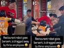 “그렇게 일하기 싫었나”…美 식당서 접시 깨며 난동 부린 로봇