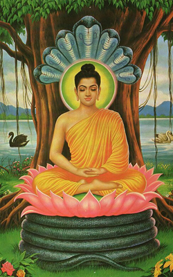 보리수 아래에서 명상하는 석가모니를 묘사한 그림. 불교는 인간의 삶과 죽음을 깨달음의 길에서 이해한다. 출처: Wikimedia Commons(Public Domain)