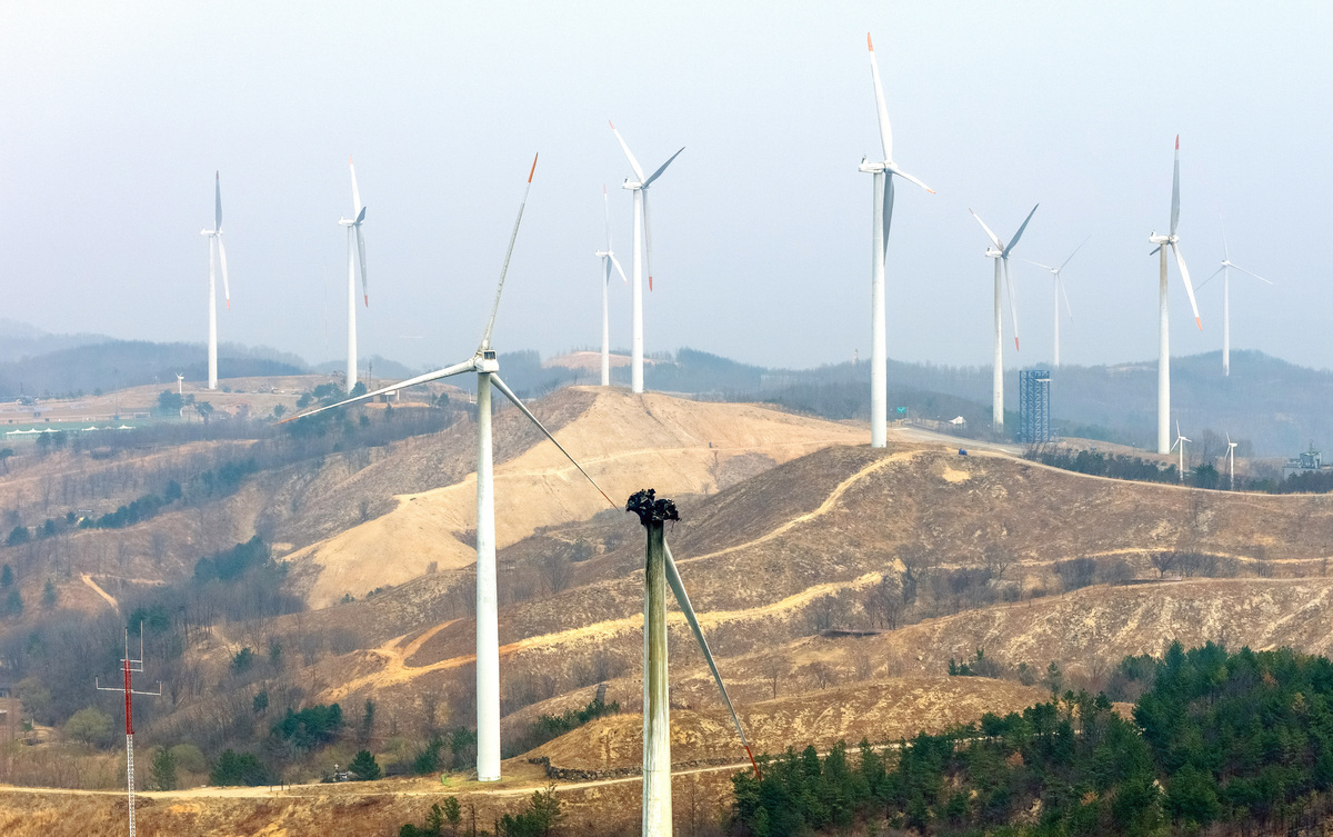 24일 경북 영덕군 영덕읍 창포리 풍력발전단지 내 한 풍력발전기가 전날 화재로 까맣게 탄 채 서 있다. 뉴시스