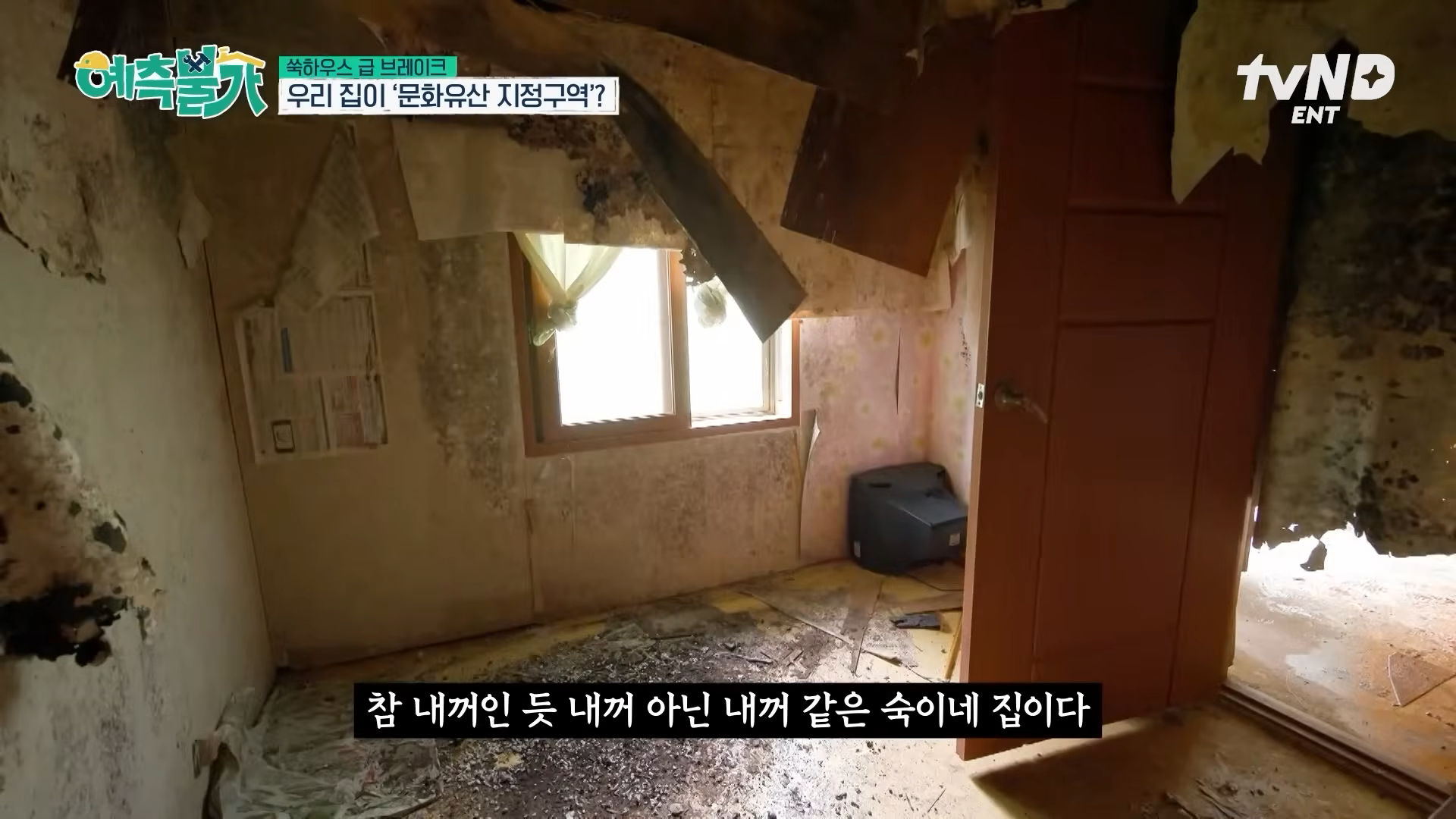 tvN ‘예측불가’ 방송화면 캡처