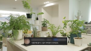 김사랑 '식집사' 된 근황…&${esc.h}34;식물 말고 남자 돌보라고? 돌볼 남자 없다&${esc.h}34;