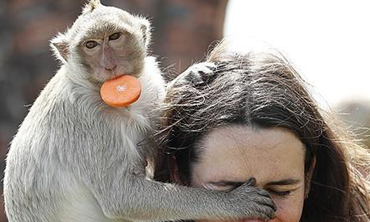 태국 원숭이. EPA연합뉴스
