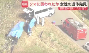 자위대원·경찰관도 당했다…日 곰 출몰, 작년 3배