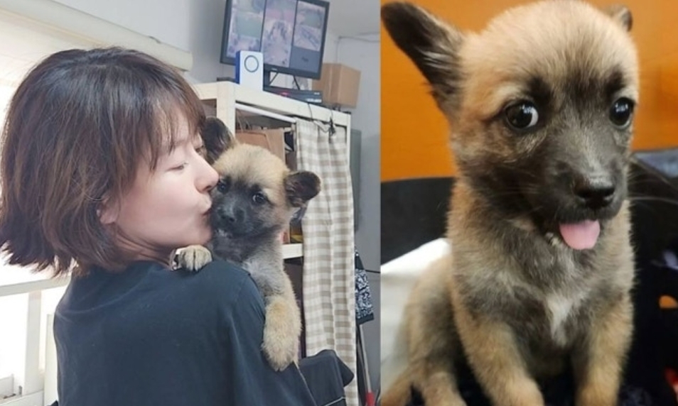예지원과 반려견 미자. 예지원은 산불 피해 구조견을 입양해 함께하고 있다.&nbsp;사진=예지원 인스타그램 캡처
