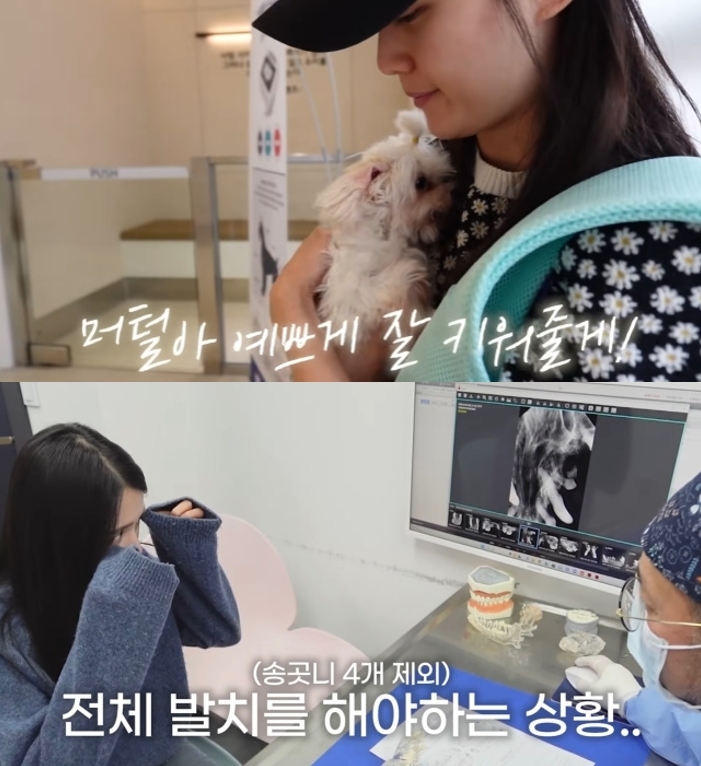 남보라가 번식장에서 구조된 머털이를 입양한 뒤 치료 과정을 공개했다. 사진=남보라 유튜브 채널 ‘남보라의 인생극장’ 캡처