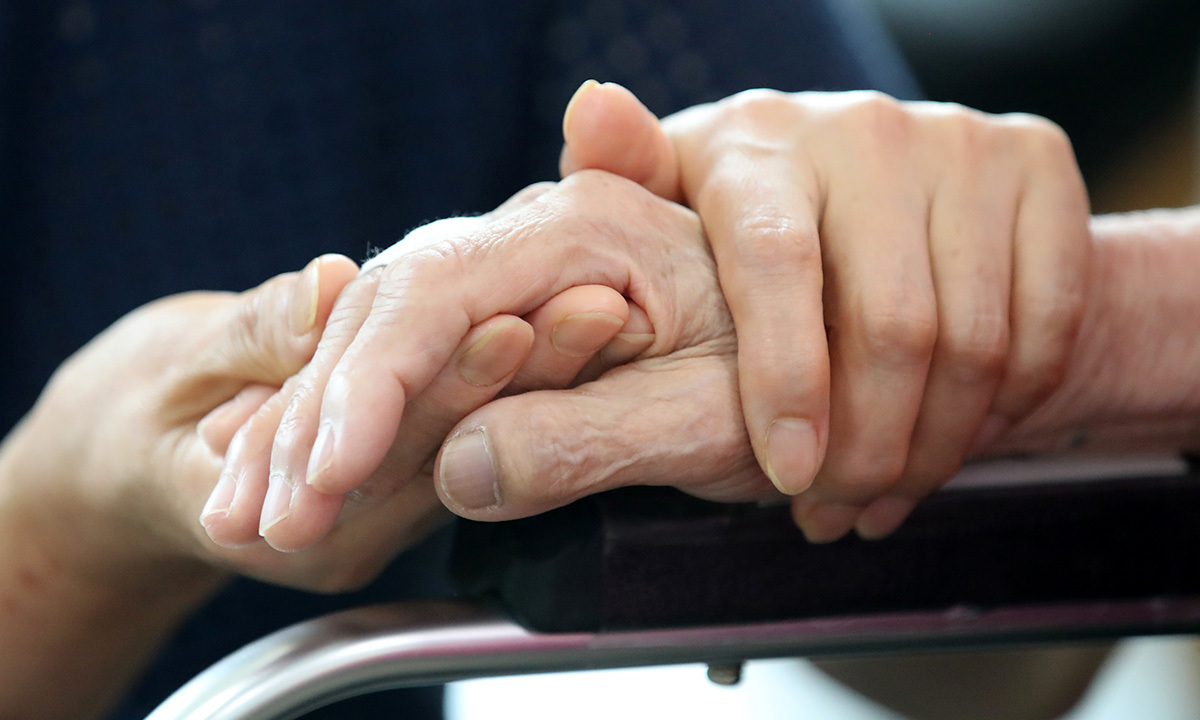마주 잡은 손. 공동취재사진