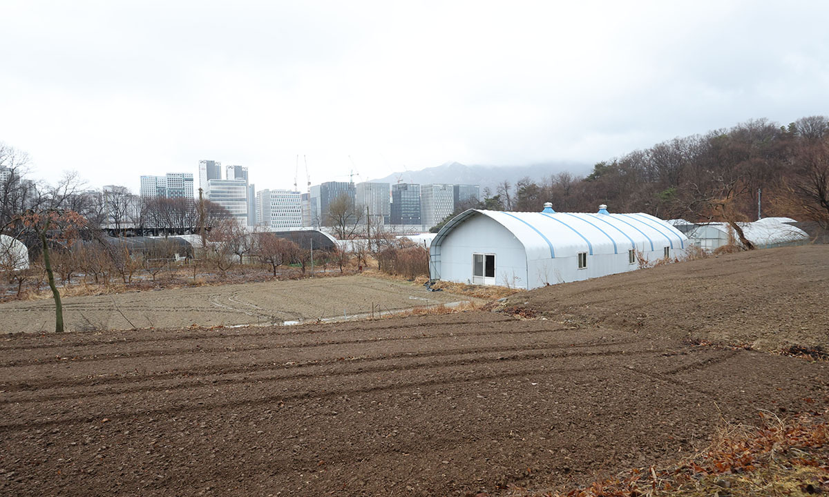 지난 3월 2일 수도권의 한 농지 너머로 재개발 구역 아파트 단지들이 늘어서 있다. 연합뉴스