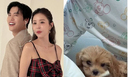 신지, 문원과 결혼 후 새 가족 &${esc.h}34;큰 결심하고 데려 와&${esc.h}34;