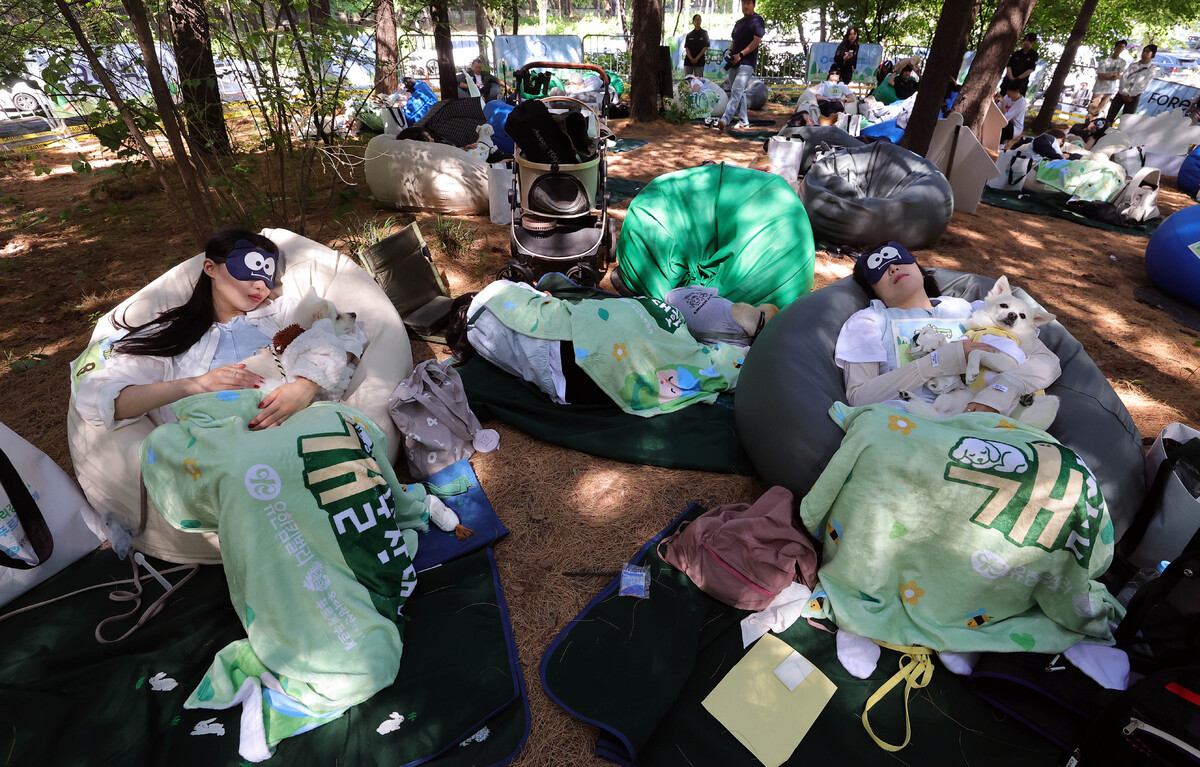 31일 서울 성동구 서울숲에서 열린 유한킴벌리 우리강산 푸르게 푸르게 2026 숲속 개꿀잠대회에서 반려견과 견주들이 잠을 자고 있다. 스마트웨어로 심박수와 스트레스 지수 등을 측정해 가장 숙면을 잘 취한 1등팀에게는 소노펫클럽앤리조트 숙박권을 제공한다.