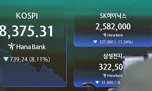 '잘나가던' 삼전·닉스, 12%대 폭락…하락률 17년여만 최대