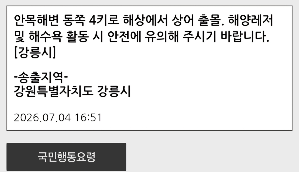 "상어가 나타났다" 강릉 앞바다 잇단 출몰 신고…재난문자 발송