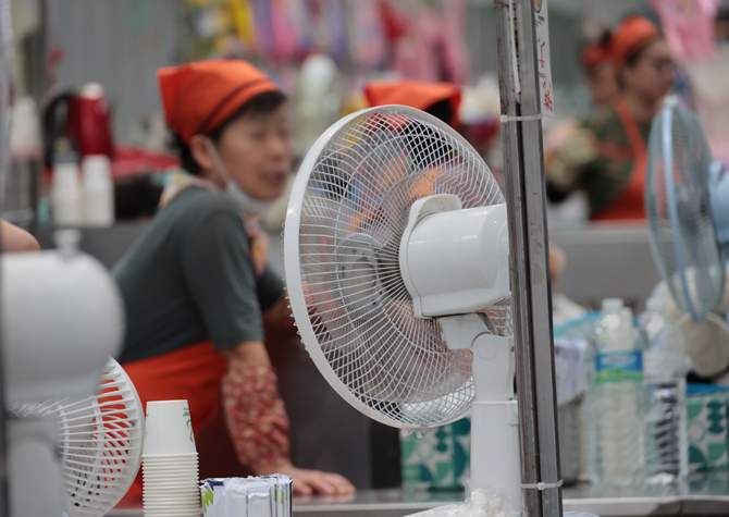 사진 이미지