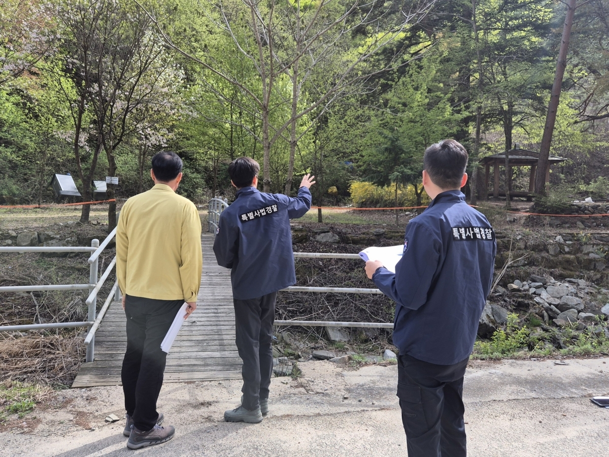 나무 껍질 벗기고 불법 벌채…산림청, 산림 훼손 ‘무관용’ 특별단속