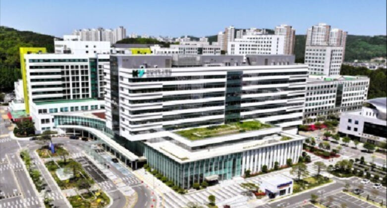31주 차에 교통사고 중상…수용 거부 경북산모 대전서 무사 분만