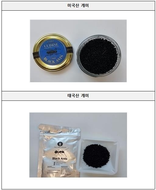 ‘식용 불가’ 개미를 요리에 쓴 미슐랭 2스타 대표…징역 1년 구형