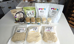 ‘발효식품의 반도체’ 종균 국산화로 K푸드 경쟁력 높인다 [농어촌이 미래다-그린 라이프]