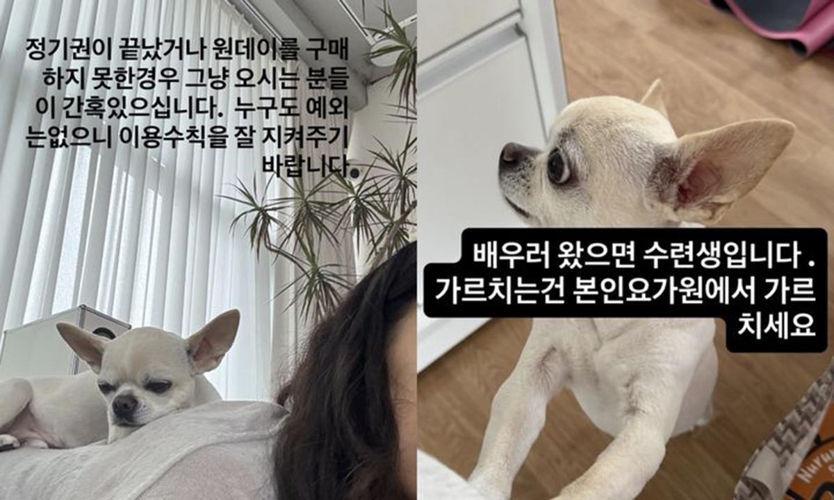 이효리, 요가원 '비매너 회원'에 또 작심 발언
