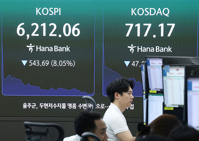 사진 이미지