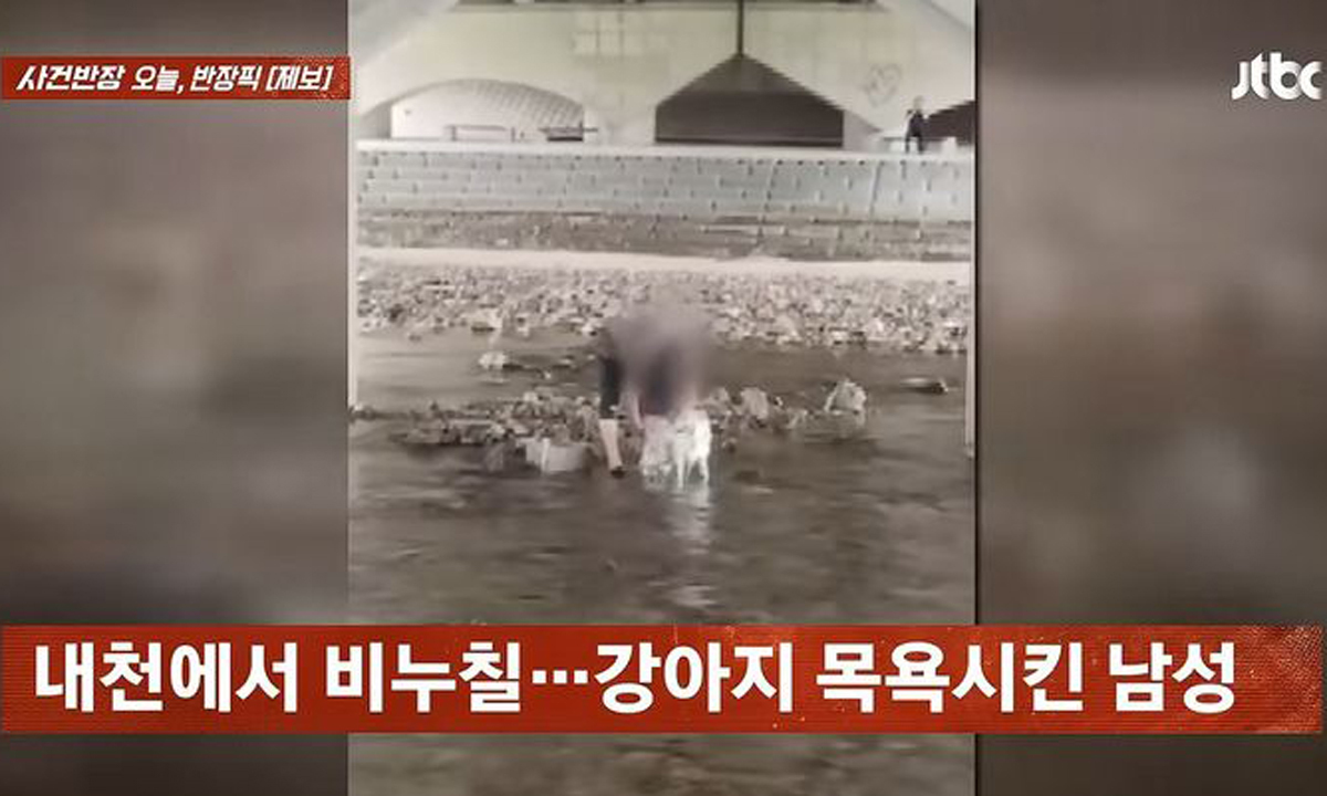 강아지 구석구석 '비누칠'…시민 물놀이 하천서 목욕 강행한 남성