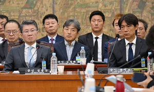"高大 카르텔·빵집면접으로 감독"…여야, 축구협회 난맥상 질타