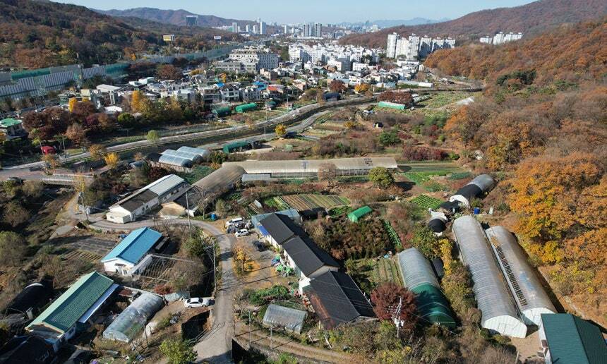 서울시 서초구 서리풀 지구 일대 모습. 연합뉴스