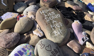 "도비 무덤 건드리지 마"…전력망 노선 바꾼 해리포터 팬들