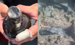 난파선서 찾은 162년 전 기네스… 그때 그 맛 재현될 수 있을까
