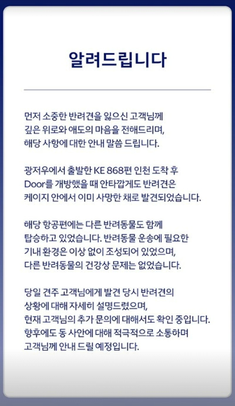 대한항공이 8일 공식 사회관계망서비스에 올린 안내문. 대한항공 인스타그램 캡처