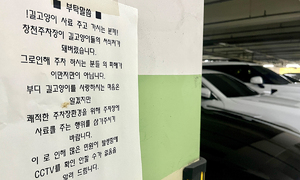 [포토에세이] 캣맘 향한 ‘부탁말씀’… 공존을 생각하다
